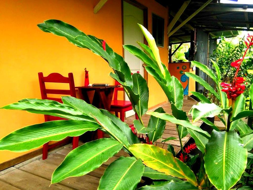 Hotel Surf Camp Bocas del Toro Exterior foto